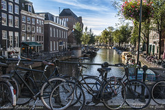 Amsterdam 2013