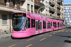 Genève (CH) TPG Trams (3) dès 2016