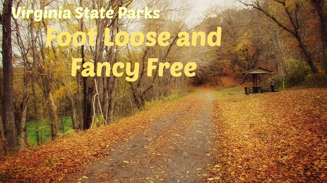 New River Trail State Park in the Fall