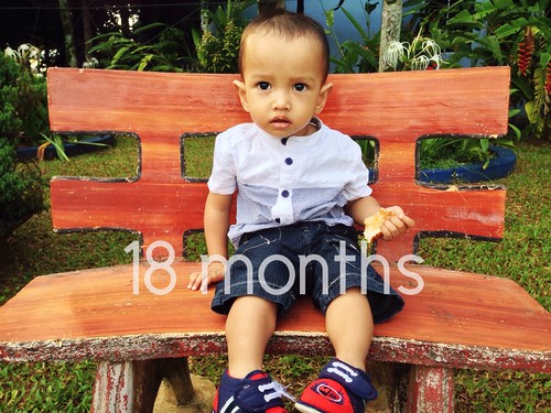 Hanif 18 months