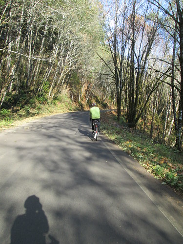 Climbing up from Alsea on South Fork Rd