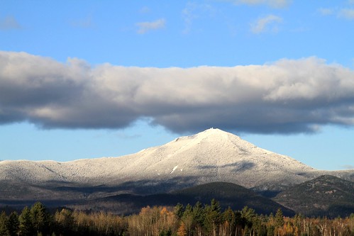 Whiteface taking on its name