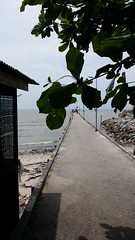 2013-11 Tanjung Sepat 丹绒士拔 