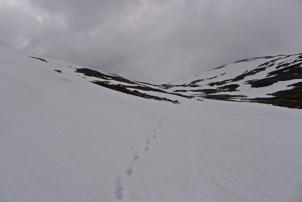 Snowy descent from Ben Macdui