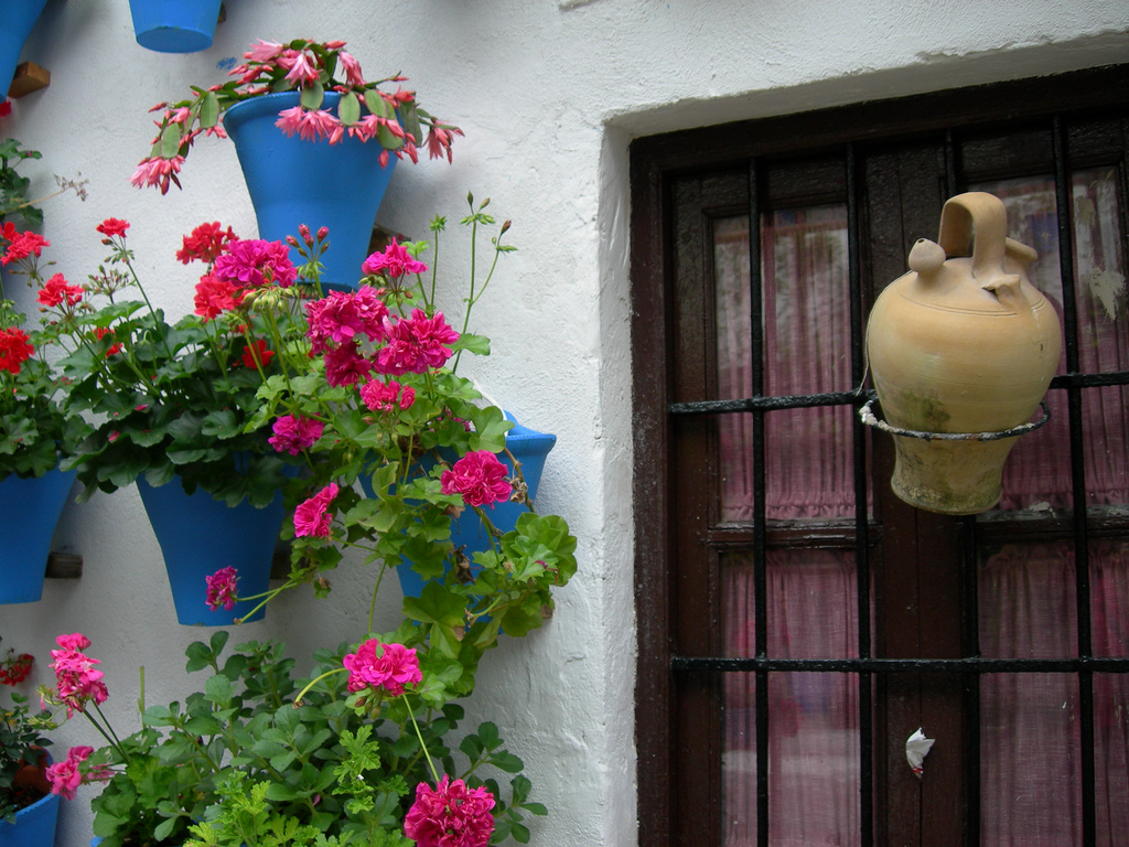 Botijo decorando una ventana. Autora, Bego Díaz