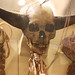 Oxford: Pitt-Rivers Museum - Horned Skull