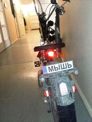 "A mouse" - a number plate for a bike in our training where I work by aigarsbruvelis