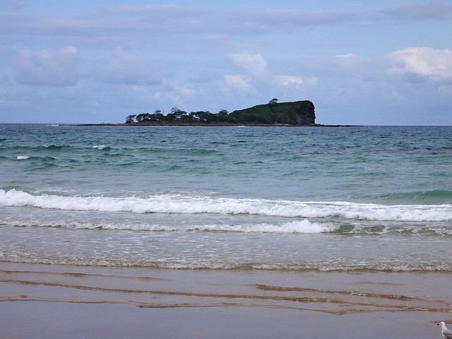 Mudjimba Island