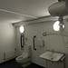 Wash dry toilet, variable height basin and ceiling track hoist