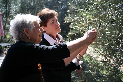 Agriculture Deputy Secretary Krysta Harden looks over olive blooms with Sandy Oaks Olive Orchard owner Sandy Winokur in Elemendorf, TX on Friday, Feb. 28, 2014. USDA photo by Melissa Blair.