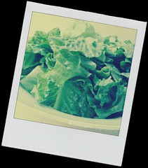 Lettuce Green Salad
