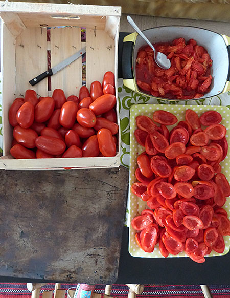 tomates à sécher 2