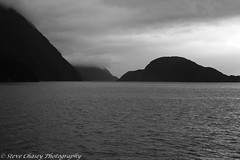 New Zealand - Doubtful Sound (B&W)