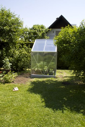 greenhouse3
