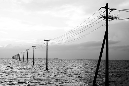 High Contrast Monochrome utility poles into the sea 11