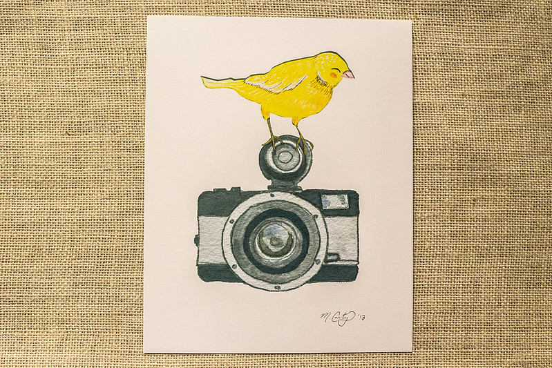 Camera Canary