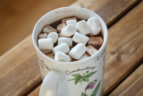 IMG_0153Last Minute Gift Idea: Homemade Hot Chocolate Mix
