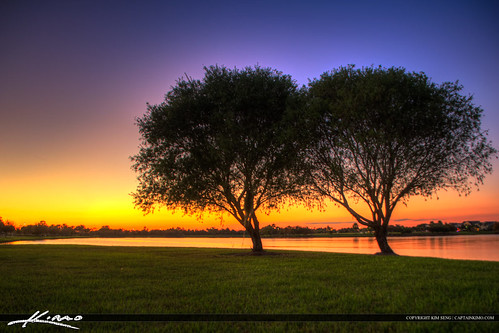 Tree at Tradition Lake Port St Lucie Florida by Captain Kimo