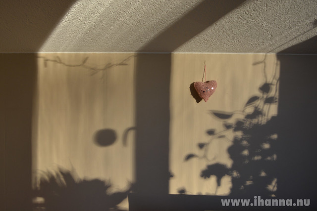 A Heart in the Window