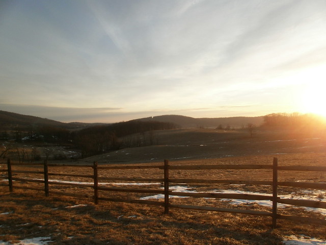 Early morning at Sky Meadows State Park on January 8.