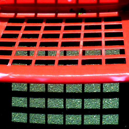 red grid by pho-Tony