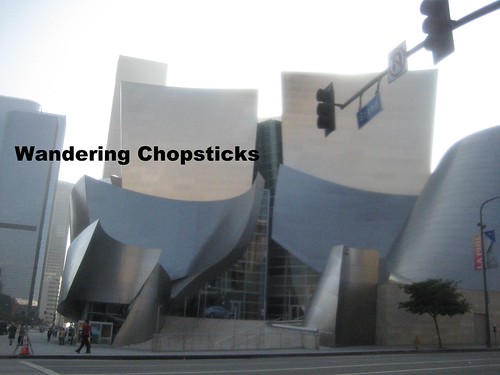 Walt Disney Concert Hall - Los Angeles (Downtown) 1