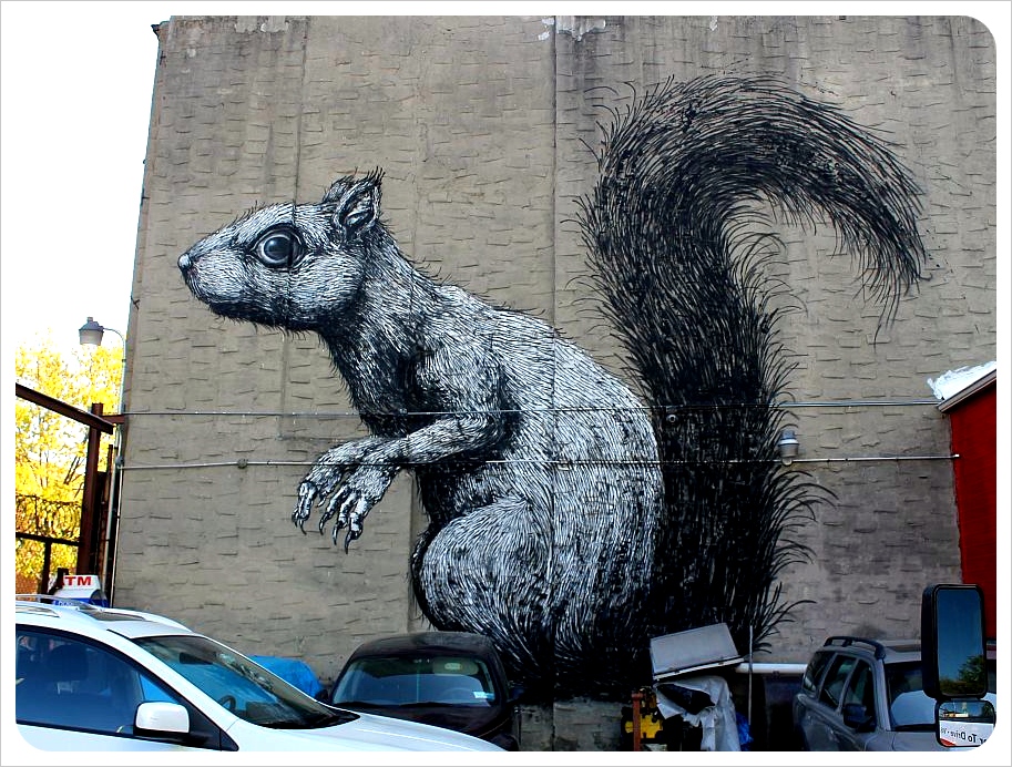 Squirrel Roa Williamsburg Brooklyn