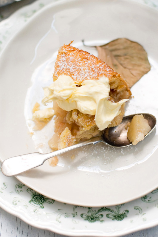 Delicious Bites: Country Apple Cake Recipe