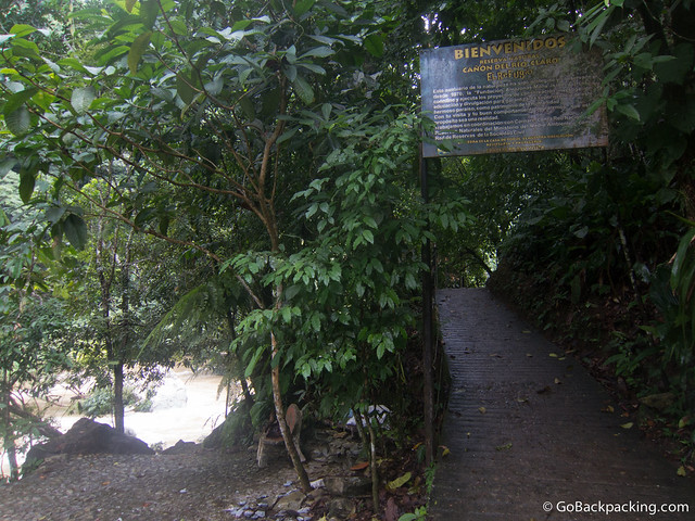 The path leading to our cabanas, and many points of interest along the river