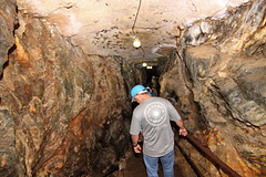 consolidated gold mine
