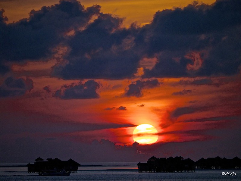 ¡Maldivian Dream! - Blogs de Maldivas - 7 días de crucero buceando en  los mejores puntos del pais. 7 días inmejorables (20)