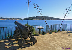Le Fort de Balaguier
