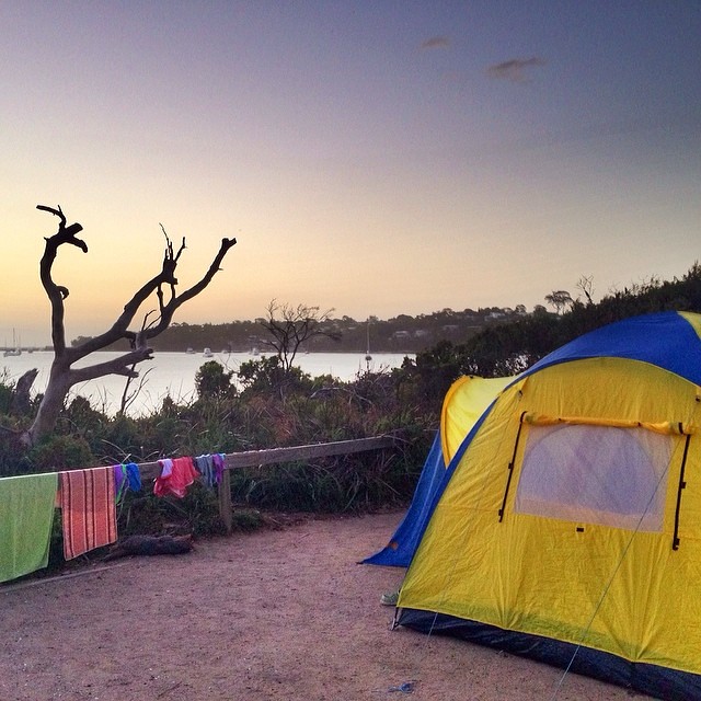 Wish I could have taken the week off work. || #campsite #freycinet #sunset