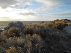 Feb 27, 2012 e (Antelope Island, Utah)