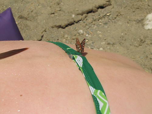 butterfly on my back