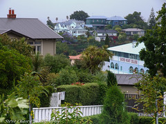 New Zealand Dec 06 - Napier