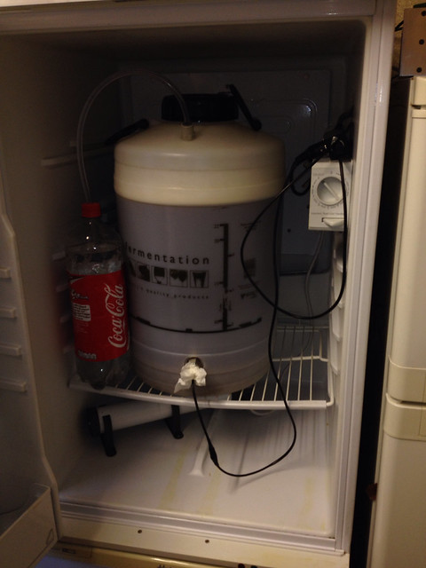 Chinook IPA in brew-fridge