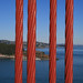 Golden Gate Bridge Cables (1284)