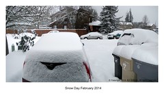 Snow Day Feb. 2014