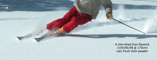 Real Skiers pendulum swings