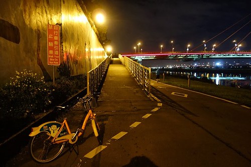 由河濱公園內連結大直橋的單車引道。