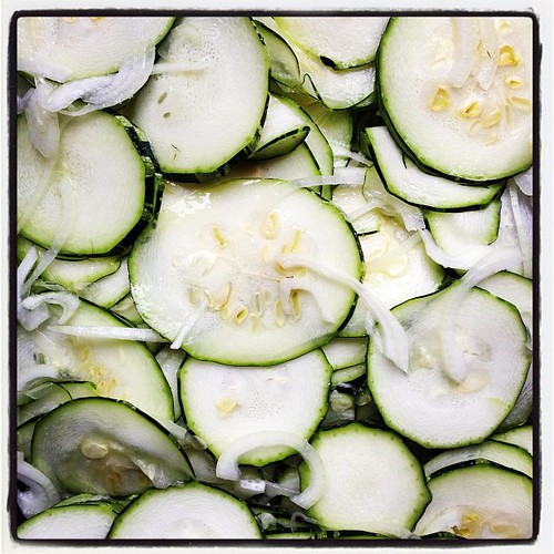 Marrow pickle project a la @zunicafe begins. #picklecult