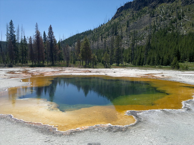 Martes Día 23 de Julio: Yellowstone (II) - 25 días por los parques nacionales del Oeste de USA: un Road Trip de 10500 kms (41)