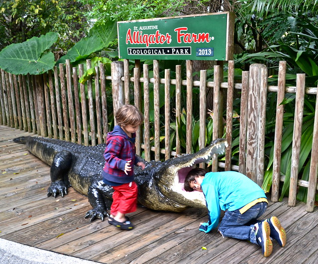kids playing at st augustine alligator farm exhibits