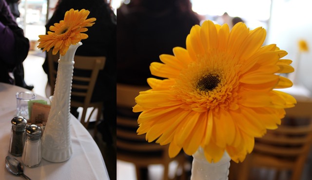 Yellow Flowers, Tall White Vase, Topsy's Kitchen, Petaluma CA - OOTD 1/11/2014