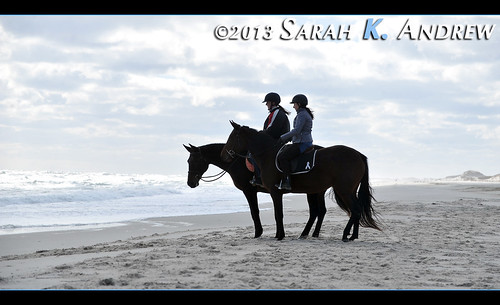 A perfect day for a beach ride! Horse Rescue United volunteers bring two Standardbred mares to Island Beach State Park for a ride.