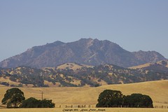 			Klaus Naujok posted a photo:	Mount Diablo. We now have the "golden" grass phase. Guess that is why it is called the "Golden State!"