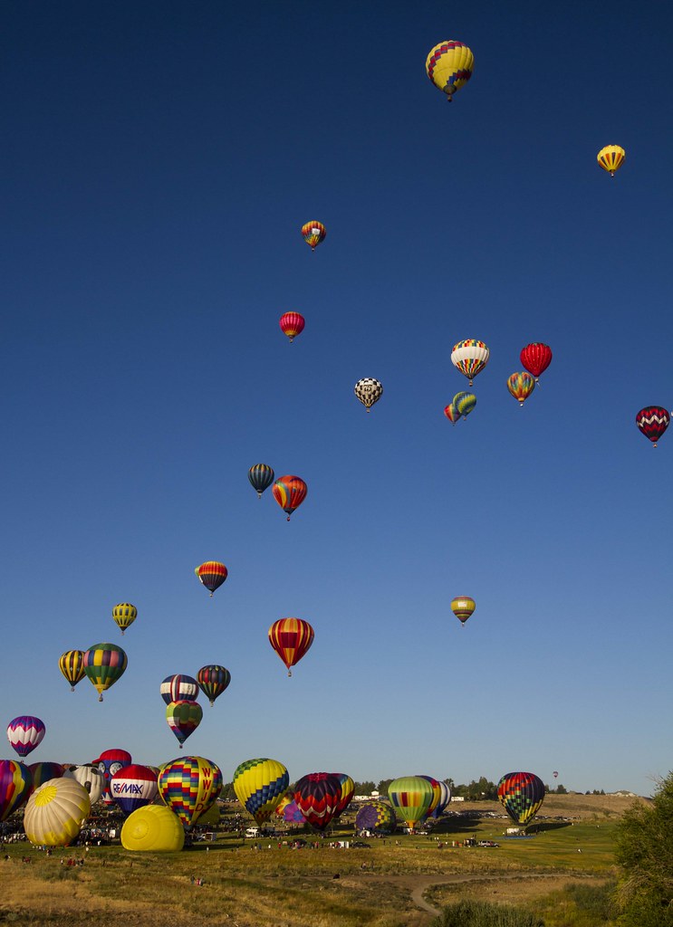 The Great Reno Balloon Race 2013