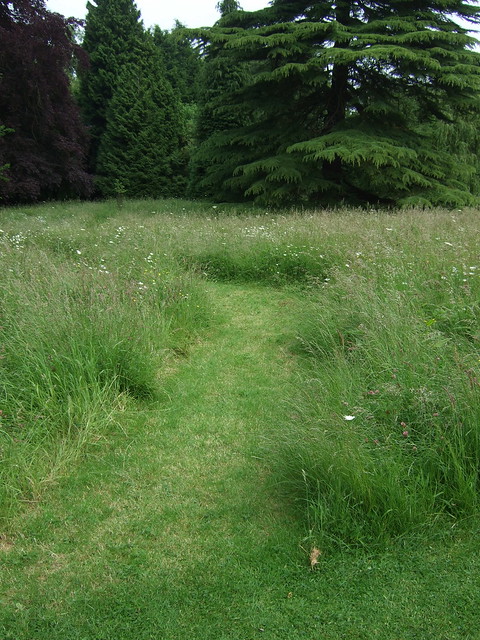 044 mad meadow path
