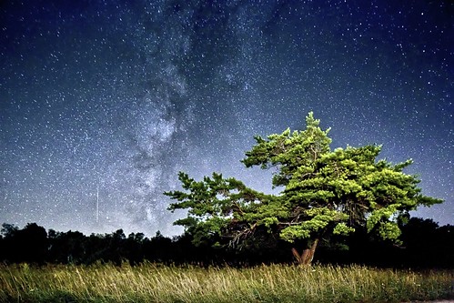 The Milky Way on a clear night in Big Meadows, Virginia by Schmoopy2007